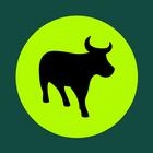 Flash Business icon