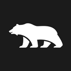 Lucid icon